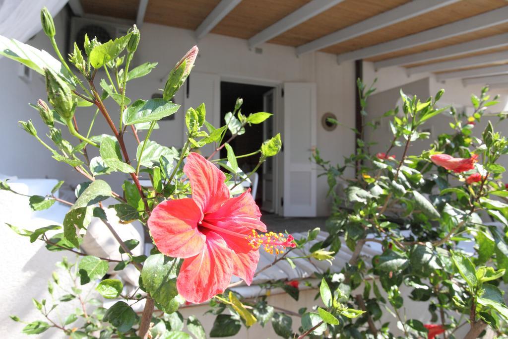ליפארי Villa Sea Rose חדר תמונה